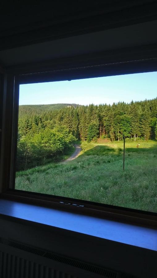 Forsthaus Glashuette Schaueregg Eksteriør billede