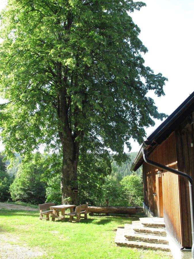 Forsthaus Glashuette Schaueregg Eksteriør billede